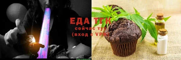 индика Инта