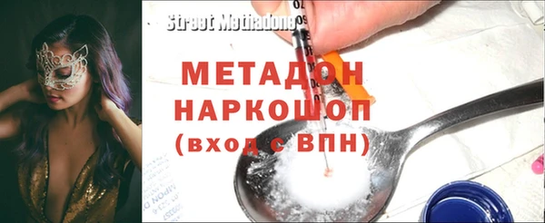 индика Инта