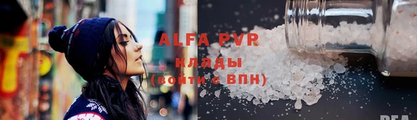 индика Инта