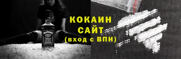 индика Инта