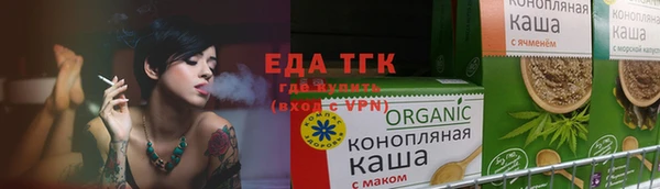 индика Инта