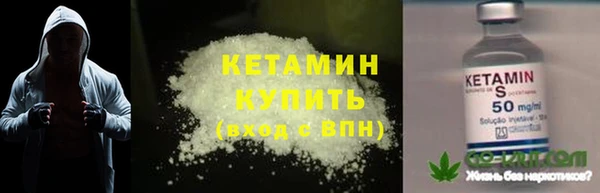индика Инта