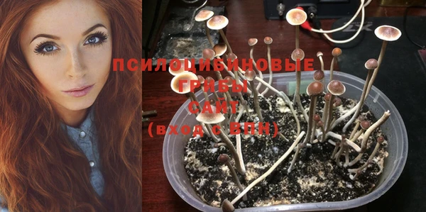 ешки Инсар