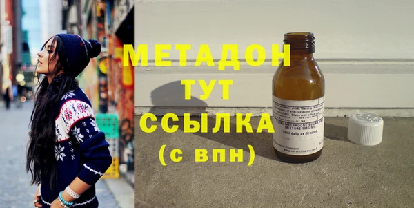 индика Инта