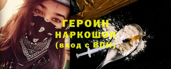 индика Инта