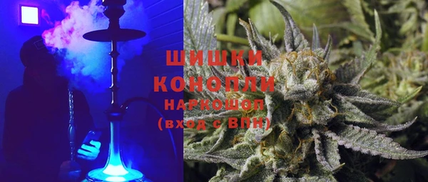 индика Инта