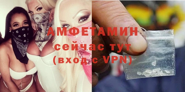индика Инта