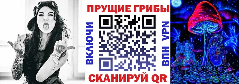 Псилоцибиновые грибы Psilocybe  Купить закладки  Гагарин 